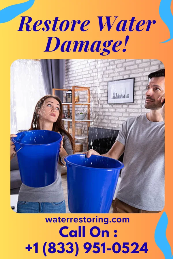 water restoration Ironclad Water Damage Team Morgantown