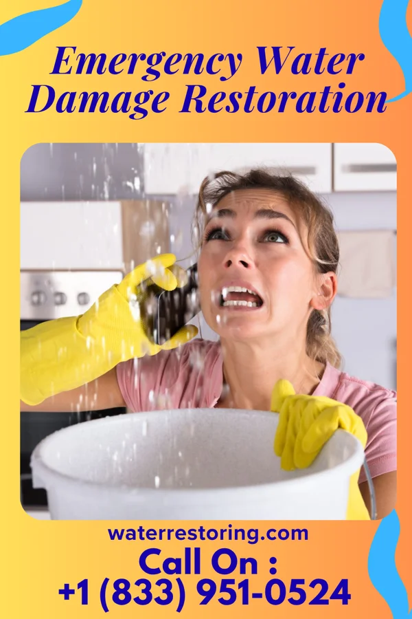 Emergency Water Damage Restoration in Morgantown, IN