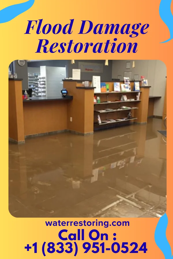 Flood Damage Restoration in Morgantown, IN