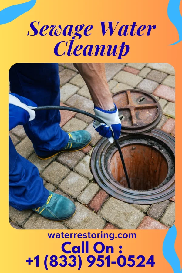 Sewage Water Cleanup in Morgantown, IN
